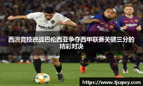 zoty中欧官网