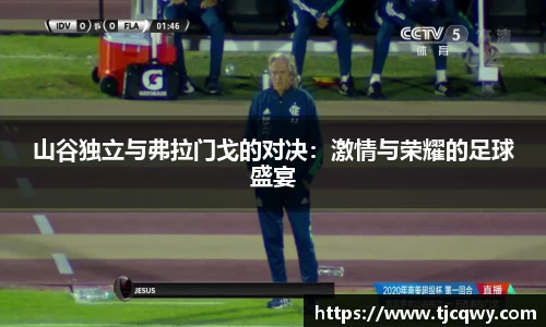 山谷独立与弗拉门戈的对决：激情与荣耀的足球盛宴