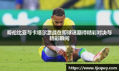 zoty中欧
