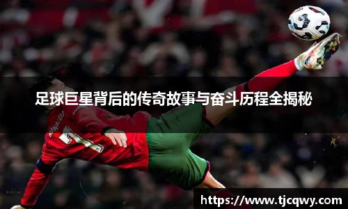 zoty中欧官方网站